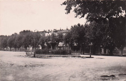 Barjols -  Place De La Rouguiere - Arbre - Platane - CPSM °J - Barjols