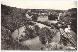 LOIRE ATLANTIQUE 44.GUEMENE PENFAO LA VALLEE DU DON DITE PETITE SUISSE - Guémené-Penfao