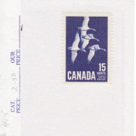 4948r) Canada Mint No Hinge Goose Bird Airmail Rate - Usati