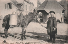 METIER - Un Jeune Laitier Et Sa Monture - L'auvergne - Mont Dore - Ane - Carte Postale Ancienne - Campesinos