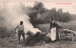 METIER - La Vie Aux Champs - Couple Qui Brule Les Mauvaises Herbes - Brouette - Carte Postale Ancienne - Campesinos