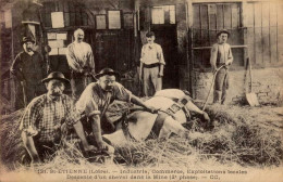 SAINT-ETIENNE    ( LOIRE )     INDUSTRIE , COMMERCE , EXPOITATIONS LOCALES . DESCENTE D ' UN CHEVAL DANS LA MINE - Mines