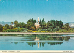 Cyprus  Postcard Sent To Germany 3-10-1979 ( Salt Lake Tekke Larnaca) - Chypre