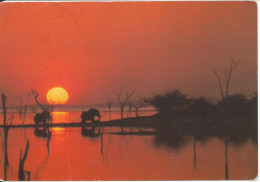 Zimbabwe Postcard Sent To Denmark (Elephants At Lake Kariba) - Simbabwe