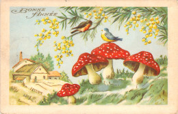 Illustration - Oiseaux Posés Sur Les Champignons - Carte Postale Ancienne - Vögel