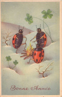 Illustration - Coccinelles Autour Du Feu De Bois - Carte Postale Ancienne - Insetti