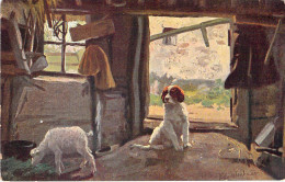 Illustration - Epagneul Breton Et Agneau - Carte Postale Ancienne - Cani