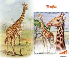 2022-10 - SIERRA LEONE- GIRAFFES I       1V    MNH** - Giraffes