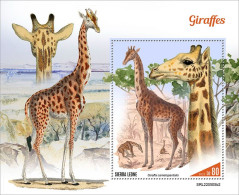 2022-10 - SIERRA LEONE- GIRAFFES II       1V    MNH** - Giraffen