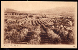 CANADA(1930) Vineyards. 2 Cent Postal Card With Sepia Illustration. Okanagan Valley, B.C. - Postal History