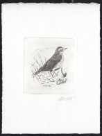BELGIUM(1992) Redwing (Turdus Iliacus). Die Proof In Black Signed By The Engraver. Scott No 1434.  - Proeven & Herdruk