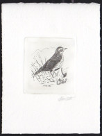 BELGIUM(1992) Redwing (Turdus Iliacus). Die Proof In Black Signed By The Engraver. Scott No 1434.  - Proofs & Reprints