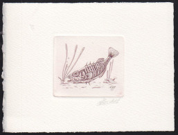 BELGIUM(1990) Three-spined Stickleback (Gasterosteus Aculeatus). Die Proof In Brown Signed By The Engraver. Scott 1386 - Probe- Und Nachdrucke
