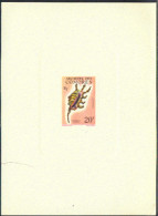 COMOROS(1962) Pterocera Scorpio. Deluxe Sheet. Scott No 52, Yvert No 23. - Autres & Non Classés