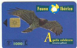 Spain Fauna Ibérica, ÁGUILA CULEBRERA, Used Chip Phone Card # B-073 - Other & Unclassified