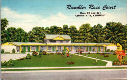 Kentucky Central City Rambler Rose Court  - Other & Unclassified