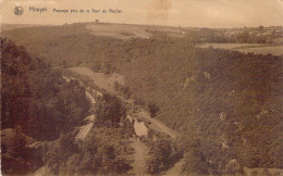 BELGIQUE - HOUYET - Paysage Pris De La Tour Du Rocher - Carte Postale Ancienne - Houyet