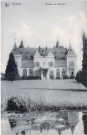 BELGIQUE - HOUYET - Château De Ciergnon - Carte Postale Ancienne - Houyet