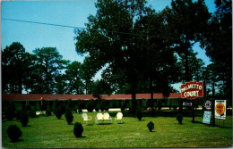 South Carolina Palmetto Court 1960 - Autres & Non Classés