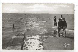 Beauvoir-sur-Mer (85) : Le Passage Du Gois En 1960 (animé) PF. - Beauvoir Sur Mer