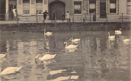 BELGIQUE - BRUGES - Quai Long Et Cygnes - Carte Postale Ancienne - Brugge