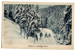 Allemagne -- Winter Im Thuringer Wald   ( Animée , Luges ) ... Carte Pas Très Courante - Andere & Zonder Classificatie