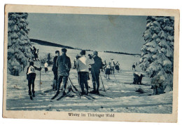 Allemagne -- Winter Im Thuringer Wald   ( Très Animée , Ski ) ... Belle  Carte Pas Très Courante - Autres & Non Classés