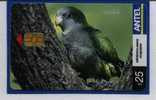 Uruguay TC421a - Cotorra (Loro) - - Parrots