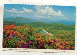 AK 135288 U. S. Virgin Islands - St. Thomas - Magens Bay - Virgin Islands, US