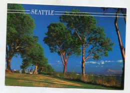 AK 135306 USA - Washington - Seattle - Magnolia Park - Seattle