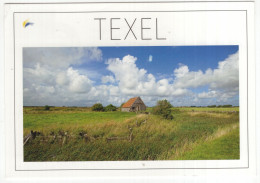 Texel - (Wadden, Nederland/Holland) - 2017 - Texel