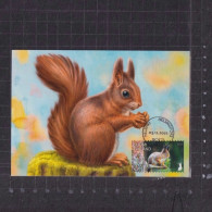 [Carte Maximum / Maximum Card / Maximumkarte] Finland 2020 | Norden 2020 Squirrel, Cancelled On 2021 - Maximum Cards & Covers