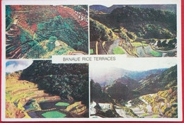 Banaue Rice Terraces Multi View - Philippines