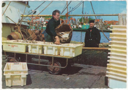 Urk - Vis Lossen - (Flevoland, Holland/Nederland) - Uitg.: H. Bakker, Urk - Urk