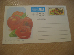 RSA 1982 Cherry Cerise Glace Glaçage Icing Sour Cherry ? Food Gastronomy Postal Stationery Card SOUTH AFRICA - Alimentation