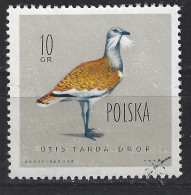 Polen Poland Pologne Polska Used ; Grote Trap Bustard Outarde Avutarda Vogel Bird Ave Oiseau - Struisvogels