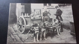 BELGIQUE 1902 UCCLE 1902  LAITIERE FLAMANDE CONTRAVENTION GENDARME ATTELAGE CHIEN VOITURE TIMBREE - Dogs