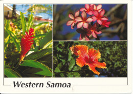 Samoa Postcard Sent To Denmark Tahiti 9-2-1996 Flowers From An Island Western Samoa - Samoa