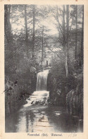 BELGIQUE - ROSENDAEL - Waterval - Carte Postale Ancienne - Otros & Sin Clasificación