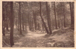 BELGIQUE - LA PANNE - Les Sapinières - Carte Postale Ancienne - Andere & Zonder Classificatie