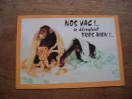 Nos Vac! Se Déroulent Très Bien! Chimpanzee Chimpanzé Our Holidays Are Going Well - Monkeys