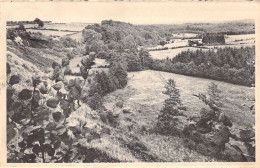 BELGIQUE - AWENNE - Vallée De L'Hinson - Carte Postale Ancienne - Otros & Sin Clasificación