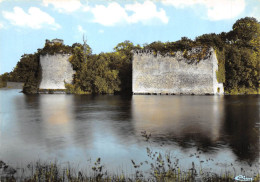 CPSM 53 MONTJEAN L'ETANG ET LES RUINES DU VIEUX CHATEAU    Grand Format 15 X 10,5 Cm - Andere & Zonder Classificatie