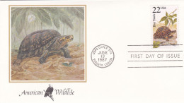 États-Unis FDC 1987 1758 Tortues - 1981-1990