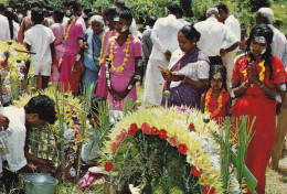 AFRIQUE . ILE MAURICE . CAVADEE FESTIVAL - Maurice