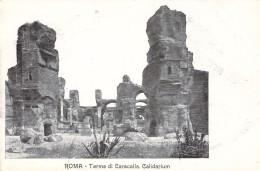 ITALIE - ROMA - Terme Di Caracalla - Calidarium - Carte Postale Ancienne - Other Monuments & Buildings