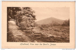 Hindhead. View Near The Vevil's Jumps. - Surrey