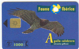 Spain Fauna Ibérica ÁGUILA CULEBRERA, Usada, Perfecto Estado # B-073 - Eagles & Birds Of Prey