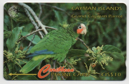 Cayman Islands - Parrot - 11CCIB - Isole Caiman