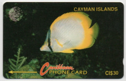 Cayman Islands - Yellow Fish - 5CCIB - Kaimaninseln (Cayman I.)